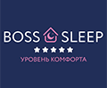 Boss sleep